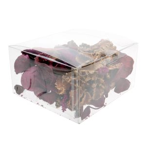 FPLB177 Crystal Clear Pop-N-Lock Boxes – 7 ½” x 7” x 4”