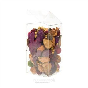 FPLB255 Crystal Clear Pop-N-Lock Boxes – 3 1/2