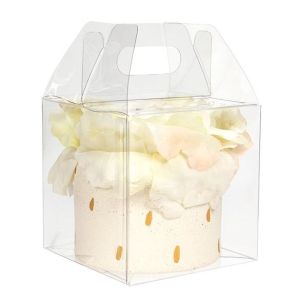 FPLB57 Clear Gable Box with Handle - 4