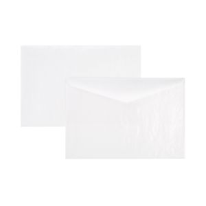 G19 Glassine Envelope – 3 ⅛” x 5 1/16”