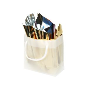 G66FT1 Small Gift Bag Frosted Glossy - 6 5/16
