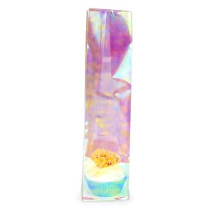 HFGPB11 Iridescent Flat Bottom Gusset Bag with Paper Insert - 2