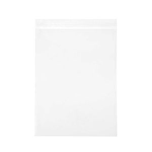 LB1013 Laminated Crystal Clear Flap Seal Bags -  10