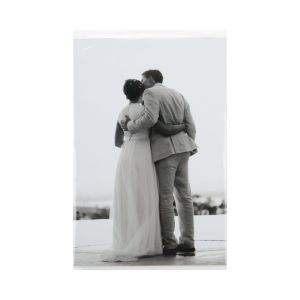 LB4X6NFX Laminated Crystal Clear No Flap Bags -  4 5/8