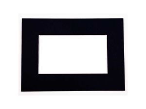 MS20113 12