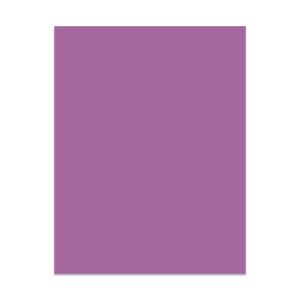 CDS-14 Ashley Cardstock 65# Passion Fruit - 8 1/2