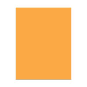 CDS-23 Ashley Cardstock 65# Grapefruit Gold - 8 1/2