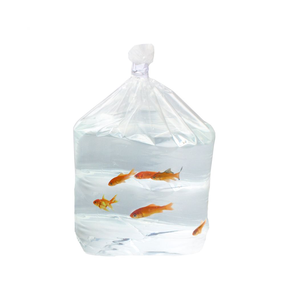 3GSBW2 Tropical Fish PE Heavy Duty Square Bottom Bags 3 Mil - 7